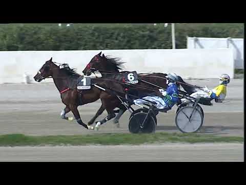 Napoli Trotto 19/03/2023 - 2ª corsa amatori (senza licenza)