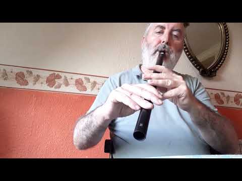 "Down by the Glenside" on a James Dominic low E whistle.