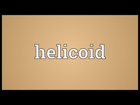 Helicoid Meaning