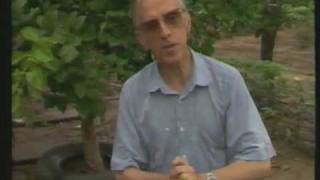 Pedro casadáliga La Voz de los Pobres