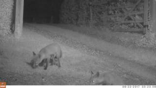 You Can't outfox a DoP (or can you?)