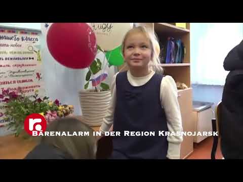 Bärenalarm in der Region Krasnojarsk