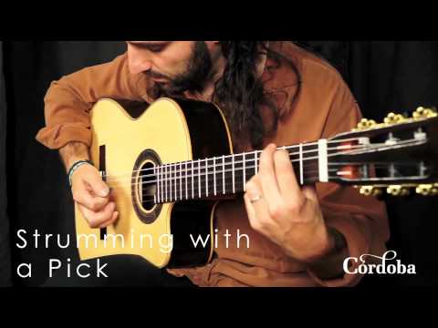 Cordoba Guitars - GK Studio Negra