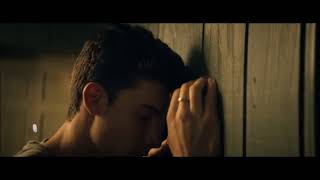 Shawn Mendes - Like This (Music Video)