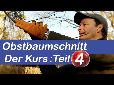 Fruit Tree Pruning Course | Fruit Tree Pruning Explained Step by Step | Part 4