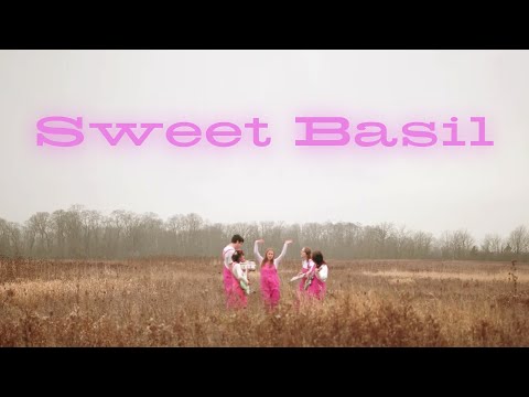 Sweet Basil - Strawberry Launch