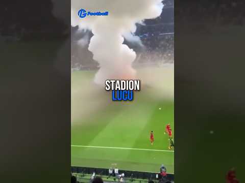 Stadion Serie A lelucon banget! Dari keamanan Atalanta sampai terowongan jauh Bologna 🤡🤣