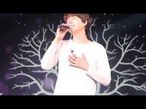 [FANCAM ]2015-03-01 Super Show 6  Kyuhyun - At Gwanghwamun