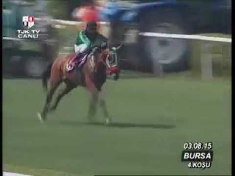 TOLİKOPA- BİGA KOŞUSU (KV-7)  03/08/2015