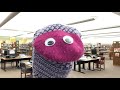 Sign Up For Summer Reading With Sal The Sock Puppet