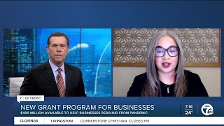 Examining how a new grant program will help Michigan small businesses