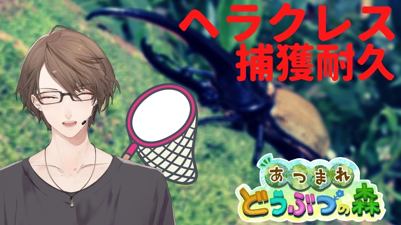 【あつまれどうぶつの森】深夜のヘラクレスオオカブト捕獲耐久【にじさんじ/加賀美ハヤト】