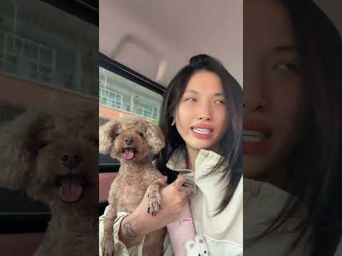 Thằng nhỏ hãi 🤣🤣 #pets #foryou #giaitri