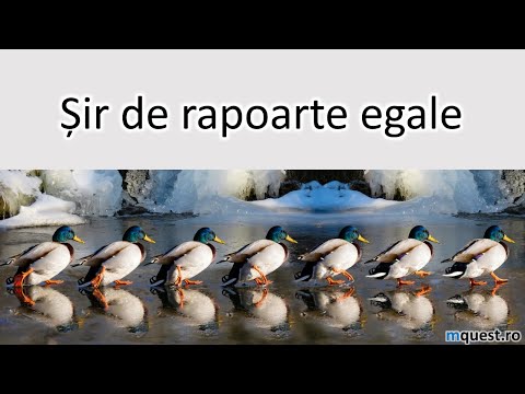 Sir de rapoarte egale, clasa a VI-a