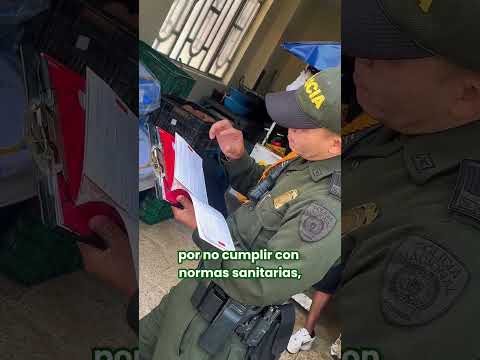 operativo pescados final