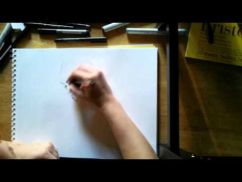 Time Laspse #1-Anime fox girl....thing