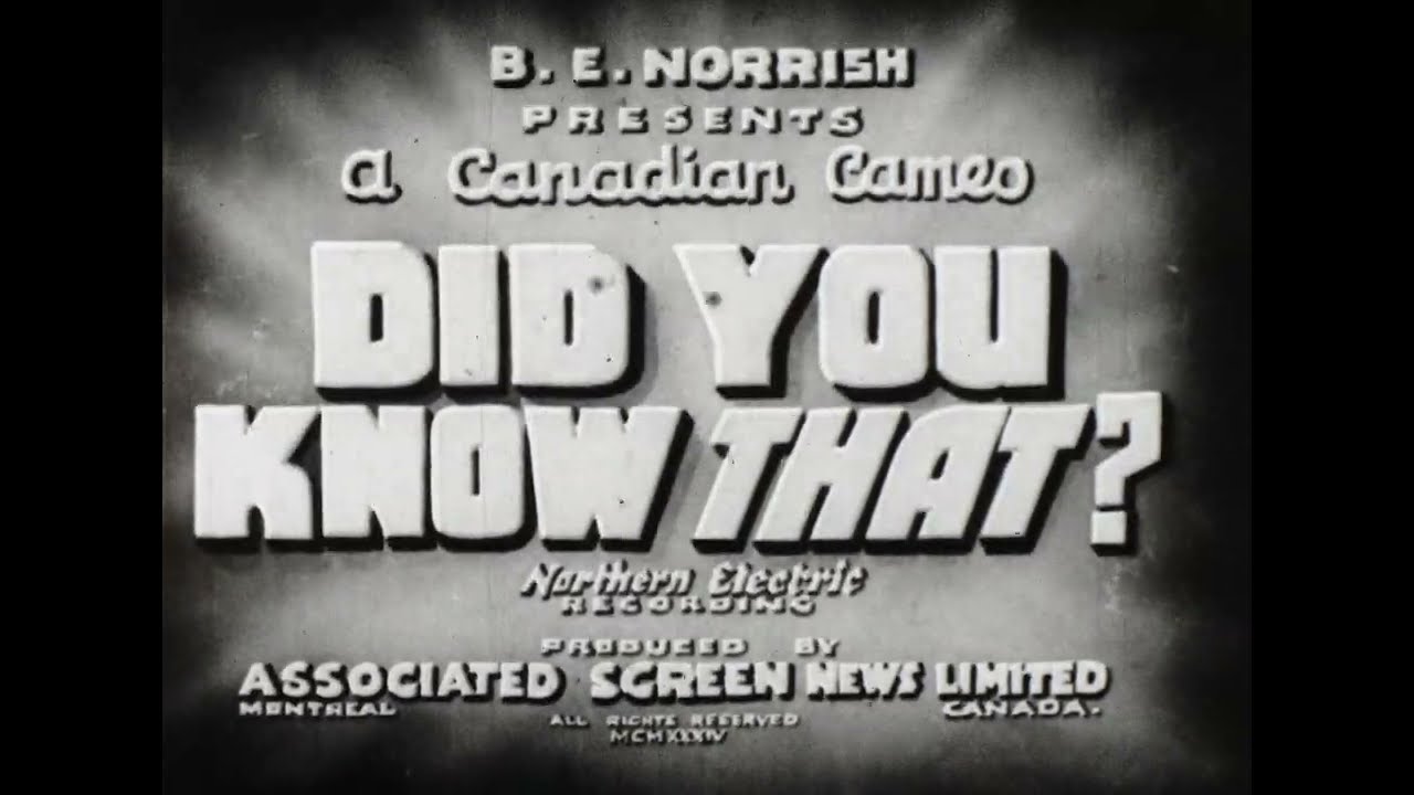 DID YOU KNOW THAT (NO.1) IDC18479