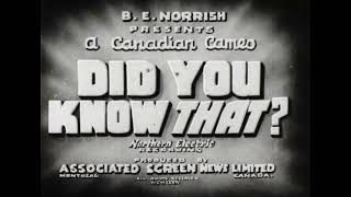 DID YOU KNOW THAT (NO.1) IDC18479
