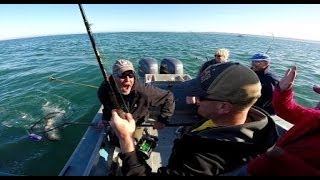 preview picture of video 'King Salmon fishing in Homer Alaska, June 2014'