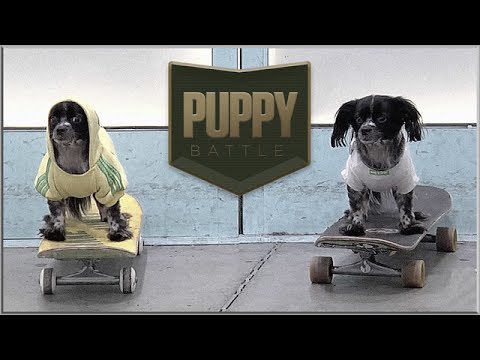BATB X | Puppy Battle