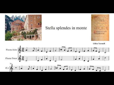 Stella Splendens in monte. Partitura. Sheet music.