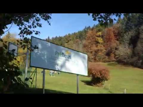 3－13歳受入寄宿舎、プレフルーリと牛たち【スイス留学.com】