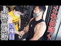 【これはマジで効く!腕を太くしたい人はやってみてね!】