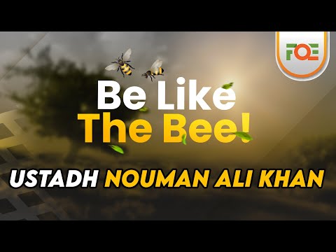 Be Like The Bee! - Ustadh Nouman Ali Khan