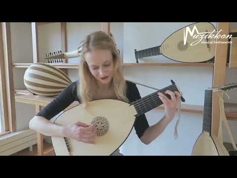 William Byrd The Woods So Wild Played By Ieva Baltmiskyte on Deluxe Lute 7 Course Walnut