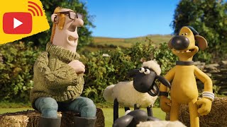 Download lagu 🔴 LIVE - Shaun the Sheep | Farm TV | Shaun The Sheep 🐑 Cartoons for kids, Preschool, New Stream mp3