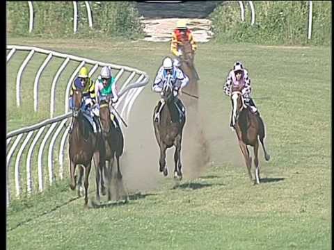 Galoppo 14/06/2017 - 4ª corsa