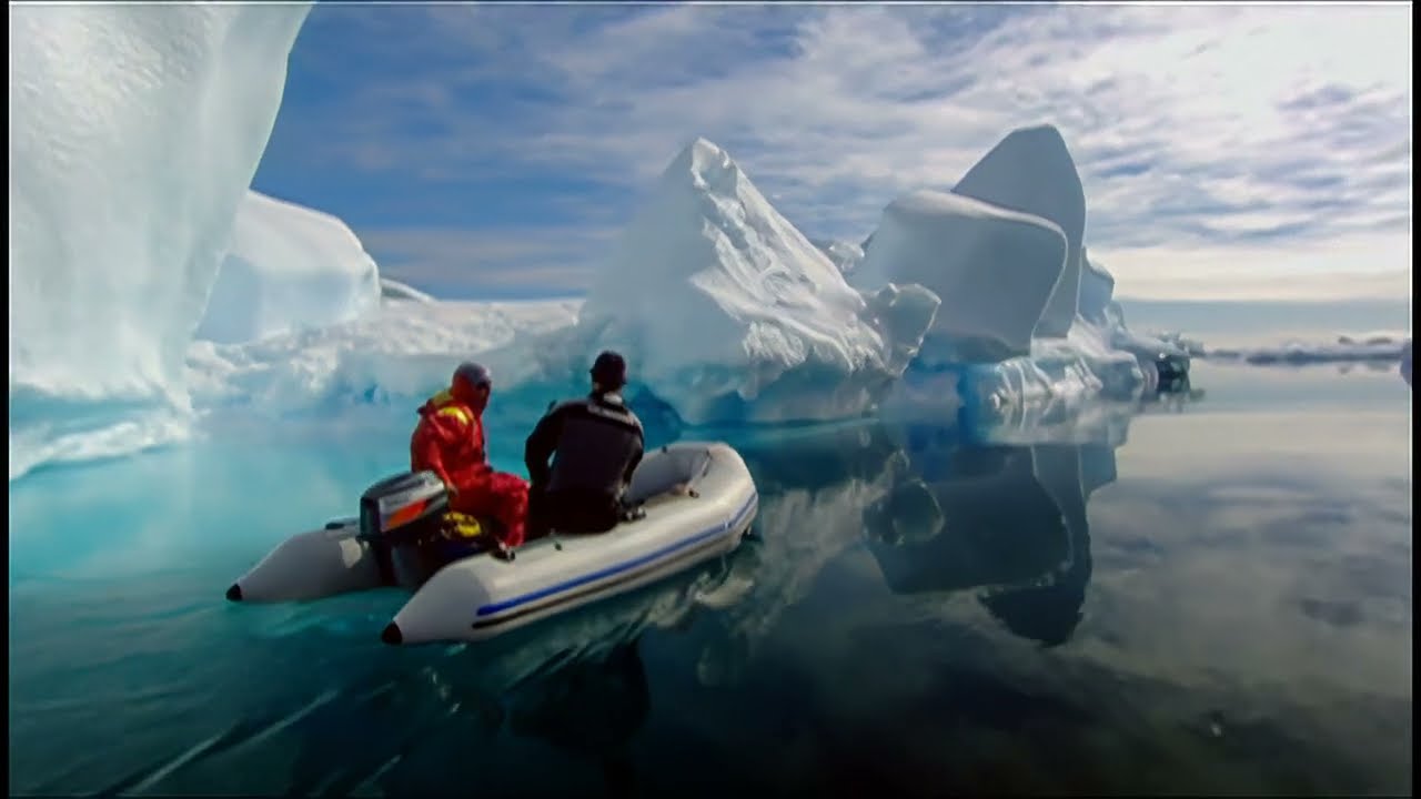 Why is Wildlife Filmmaking so Dangerous? | Subtitled Documentary