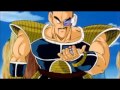 Best Of Nappa Abridged