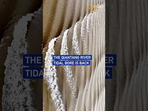 The Qiantang River tidal bore is back #coolchina