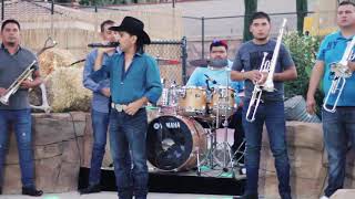 La Araña (En Vivo) Lyrics English Translation