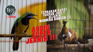 Download lagu MASTERAN VIRAL 🔴 CUCAK CUNGKOK VS CILILIN ❗️DURASI 5 MENIT AUDIO SUPER JERNIH ❗️#kicaumania mp3