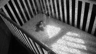 Steve Taylor - Baby Doe