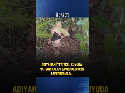 Adıyaman İtfaiyesi, kuyuda mahsur kalan yavru kedi için seferber oldu #yavrukedi #mahsur #itfaiye