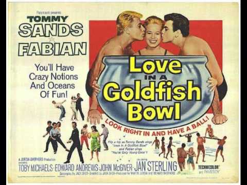 Love in a goldfish bowl - Tommy Sands