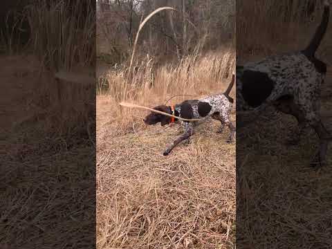 Pointing with intensity!