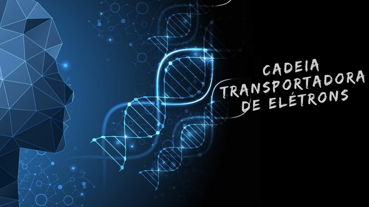 Cadeia transportadora de elétrons