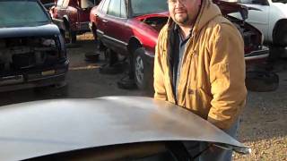 Ewe Pullet Harvest Day October 22nd 2011 Video 4