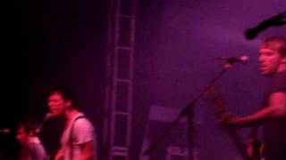 Our Bovine Public - The Cribs