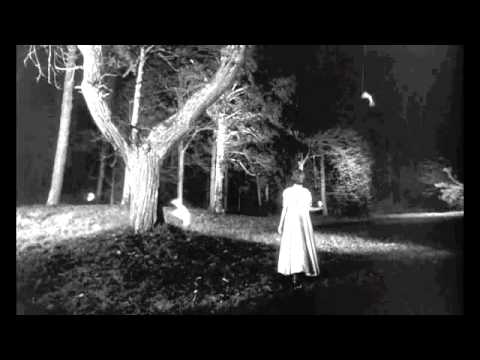 Freaky Chakra's Year 2000