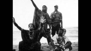 Jungle Brothers (Crazy Wisdom Masters) - Book Of Rhyme Pages