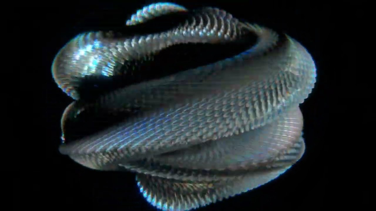 Organic Calabi Yau