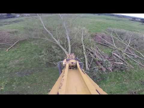 13t Tree Shear - Image 2