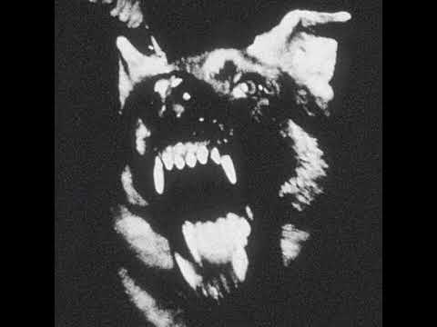 T0rtvre - Igot6corpsesinmycloset (feat. VYX BLV$)