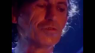 The Rolling Stones - The Spider And The Fly (Official Lyric Video)