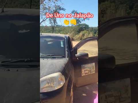 PARA A LAGOA DO JAPONÊS DE UNO #shortvideo #shorts #jalapão #lagoa #travel #vlog